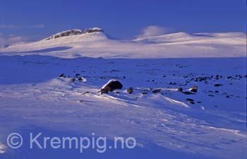 Skakterdalen i Indre Troms. Dividalen Nasjonalpark
