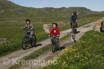 Sykkeltur på Ingøy