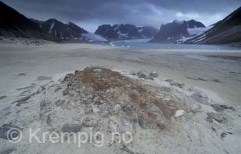 Gammel grav i Magdalenafjorden - svalbard